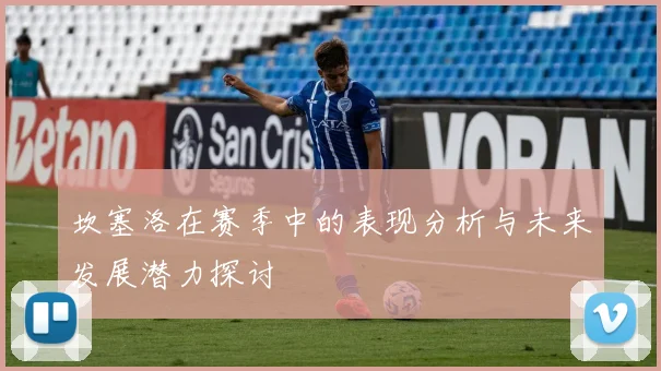 坎塞洛在赛季中的表现分析与未来发展潜力探讨