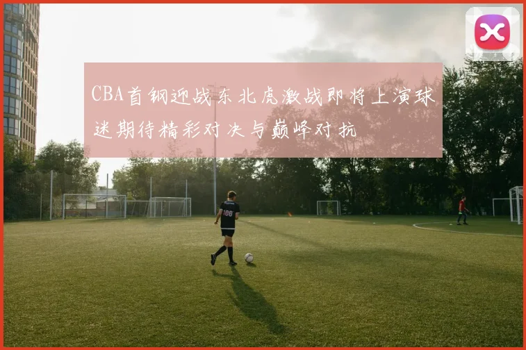 CBA首钢迎战东北虎激战即将上演球迷期待精彩对决与巅峰对抗
