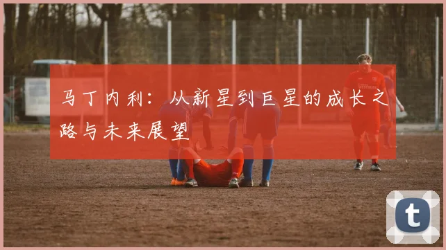 马丁内利：从新星到巨星的成长之路与未来展望